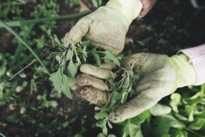 eco vriendelijk tuinieren